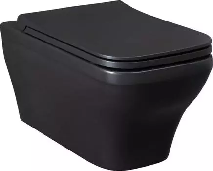 Унитаз подвесной Allen Brau Infinity 4.21011.31 безободковый, черный матовый
