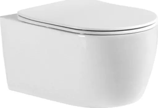 Унитаз подвесной Aquatek Европа AQ1106-00 безободковый, с сиденьем микролифт, белый