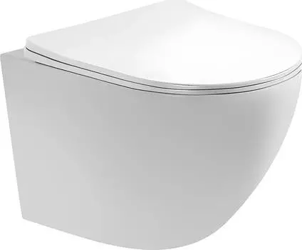 Унитаз подвесной Aquatek Европа AQ1900-00 с сиденьем микролифт, белый