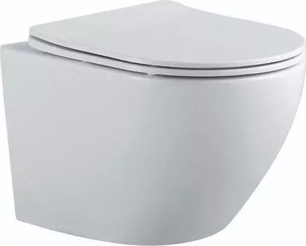 Унитаз подвесной Aquatek Европа AQ1901-MW безободковый, с сиденьем микролифт, белый