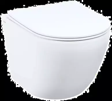 Унитаз подвесной IDDIS Blanco Q BLQNDSEI25 белый