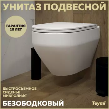 Унитаз подвесной Teymi Demi T40208 белый глянец, с сиденьем микролифт