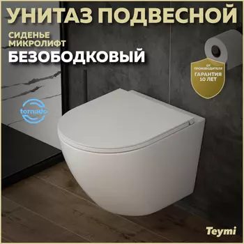 Унитаз подвесной Teymi Lina T40110 белый глянец, с сиденьем микролифт