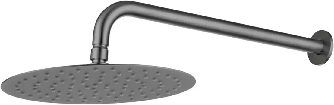 Верхний душ Allen Brau Priority 5.31A17-MG графит браш