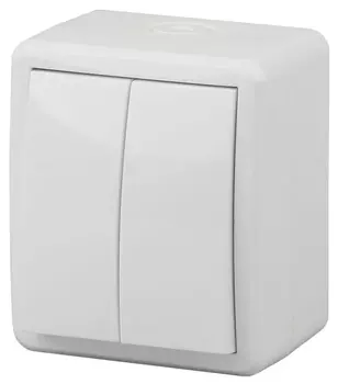 Выключатель двухклавишный с подсветкой ЭРА Эксперт 10AX 250V IP54 11-1405-01 Б0020677