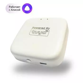 WIFI конвертер Denkirs DK7400-WF