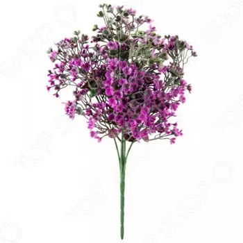 Декоративные цветы Волшебная страна «Камнеломка»