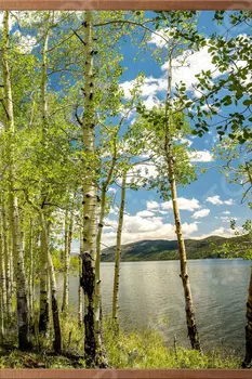 Обогреватель настенный Домашний очаг «Березки»