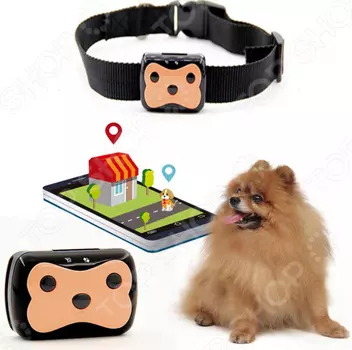 Ошейник с GPS-трекером 1741846. В ассортименте