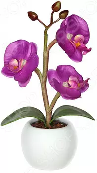 Светильник-ночник СТАРТ «Волшебная орхидея»