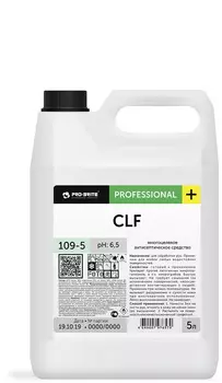 Антисептик для рук ProBrite CLF 109-5 5л