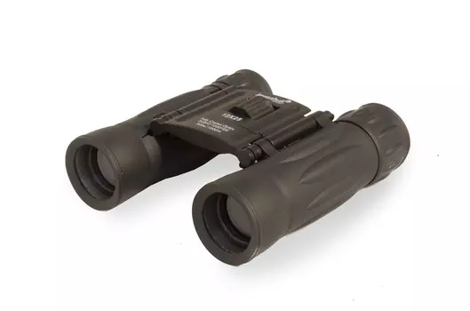 Бинокль Levenhuk Atom 12x25 (+ Антисептик-спрей для рук в подарок!)