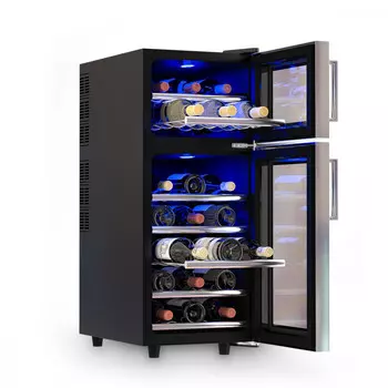 Двухзонный винный шкаф COLD VINE C21-TBF2