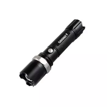 Фонарь ручной "СИБИРСКИЙ СЛЕДОПЫТ-Эксперт" (Профи), 1L, zoom, аккум. 220В+12В, 3хААА (250 лм)