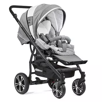 Коляска GESSLEIN F4 Air+ накидка на ножки, светло-серый/вкладыш птички (+ Защитный чехол СМЕШАРИКИ в подарок!)