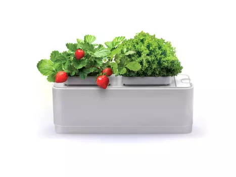 Компактный умный сад Назад К Истокам iGarden