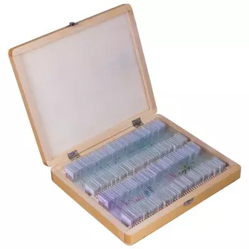 Набор микропрепаратов Bresser 100 шт., в кейсе