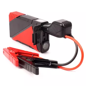 Пусковое устройство Revolter Tiger (+ Антисептик-спрей для рук в подарок!)