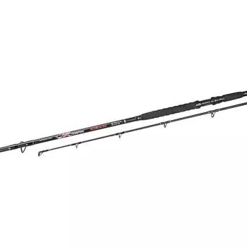 Спиннинг Mikado CAT TERRITORY BANK 2 BOAT 240 (до 300 г)