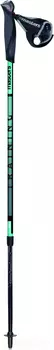 Телескопические палки для скандинавской ходьбы Masters TRAINING AluTech 7075, 16-14, 212 гр. Steel, 01N0620