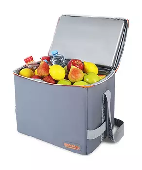 Термосумка Biostal Дискавери (30 л.), серая