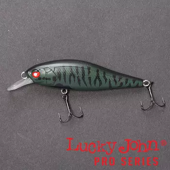 Воблер плавающий LJ Pro Series ANIRA F 06.90/304