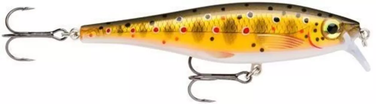 Воблер плавающий Rapala BX Minnow BXM10-TR (0,9м-1,5м, 10см 12гр)