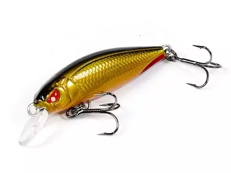 Воблер сусп. LJ Pro Series BASARA SP 04.00/107