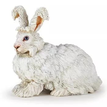 Ангорский кролик