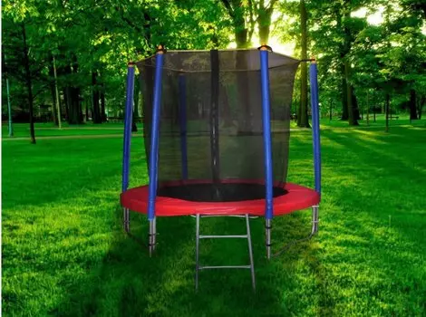 Батут Family Vip с защитной сетью, диаметр 3,66 м