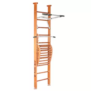 Детский спортивный комплекс Perfetto sport Salute PS-101 с тренажёром Vinsere PS-121