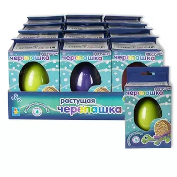 Домашний инкубатор - яйцо с растущей черепашкой, 6 см