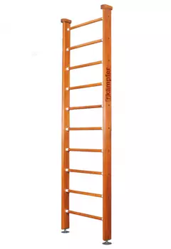 Домашний спортивный комплекс Kampfer Classic Ceiling 10000004296