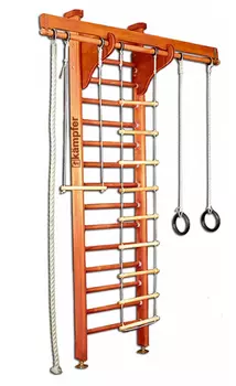 Домашний спортивный комплекс Kampfer Wooden Ladder Ceiling 10000004287