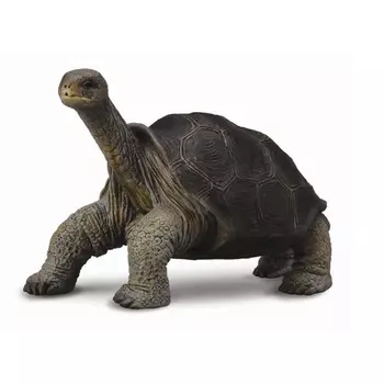Фигурка Абингдонская слоновая черепаха, размер 15 х 9 см.