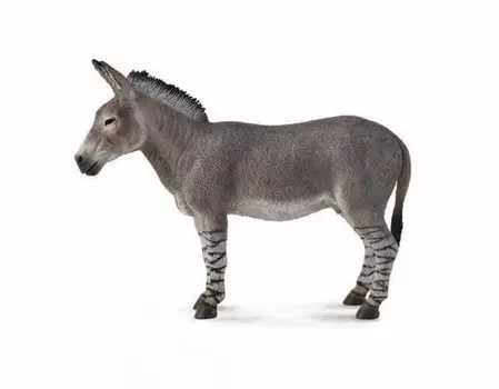 Фигурка Gulliver Collecta - Дикий африканский осел, L