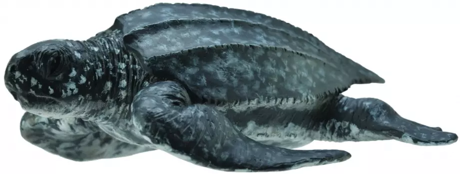 Фигурка Gulliver Collecta - Кожистая черепаха