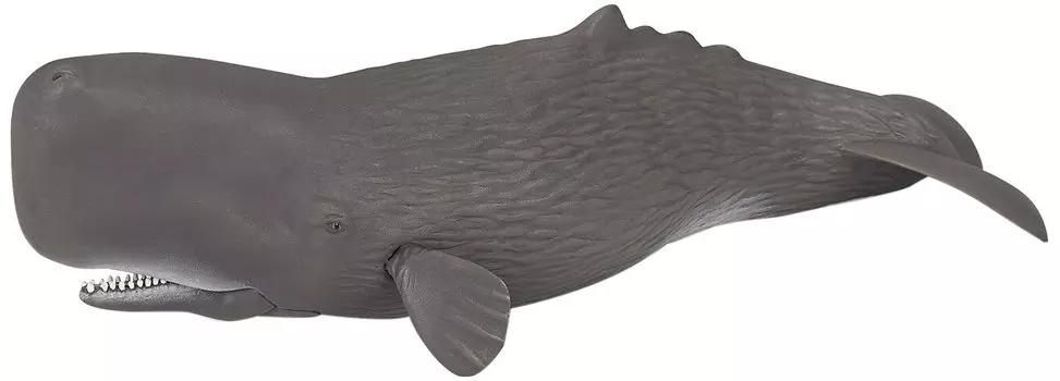 Фигурка – Кашалот