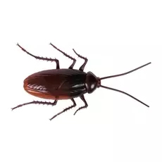 Игрушка Робо-таракан Robo Alive