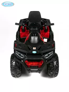 Электро квадроцикл Barty Т007МР
