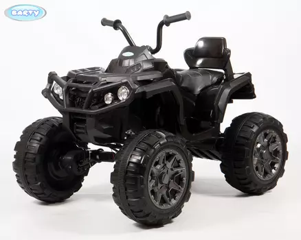 Электроквадроцикл Grizzly Barty Т001МР, черный