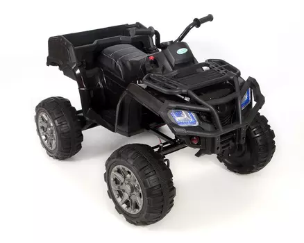 Электроквадроцикл Grizzly Next Barty Т009МР, цвет – черный