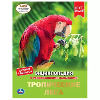 Энциклопедия А4 с развивающими заданиями – Тропические леса