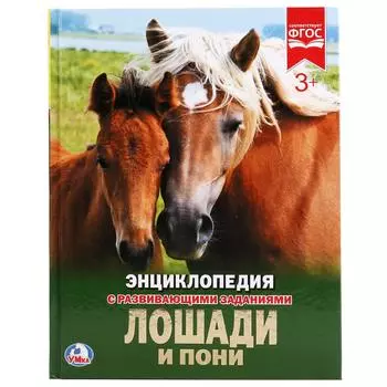 Энциклопедия – Лошади и пони, с развивающими заданиями