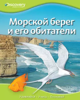 Энциклопедия «Морской берег и его обитатели» из серии «Discovery Education»