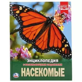 Энциклопедия – Насекомые, с развивающими заданиями