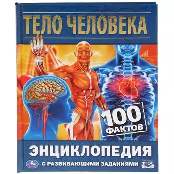 Энциклопедия с развивающими заданиями А5 – Тело человека