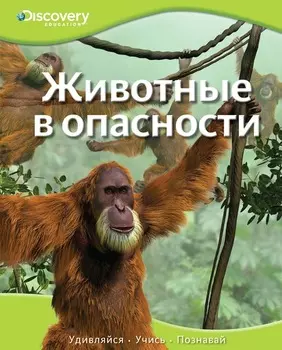 Энциклопедия «Животные в опасности» из серии «Discovery Education»