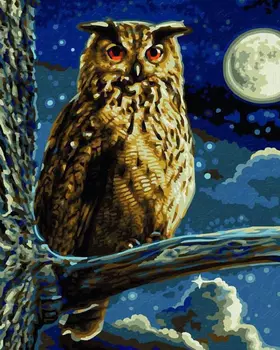Картина для раскрашивания - Филин, 24х30 см.