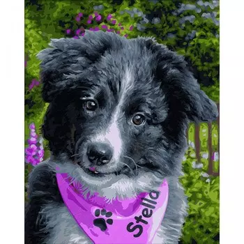 Картина для раскрашивания по номерам - Портрет Колли, размер 24 х 30 см.